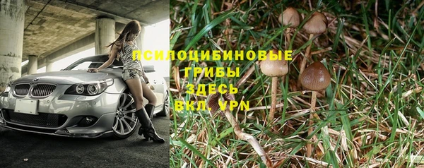 синтетический гашиш Козловка