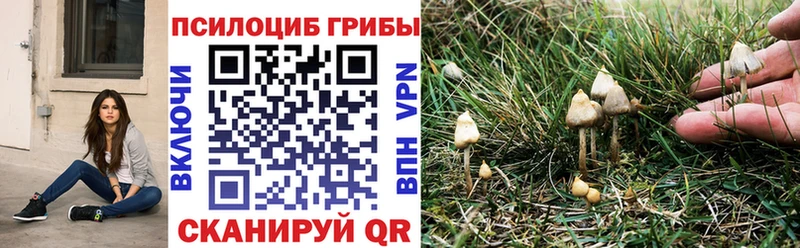 Галлюциногенные грибы ЛСД  Купить  Донской 
